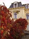 Herbst im Park